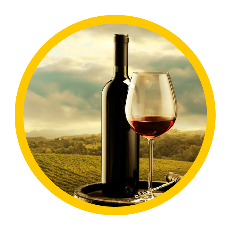 Vinho